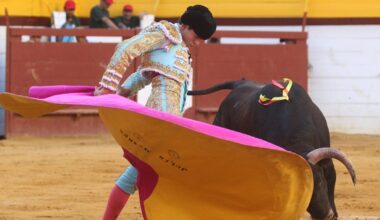 Levante-EMV