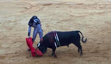 Pedro Andrés triunfa a lo grande en la segunda novillada de Pedrajas