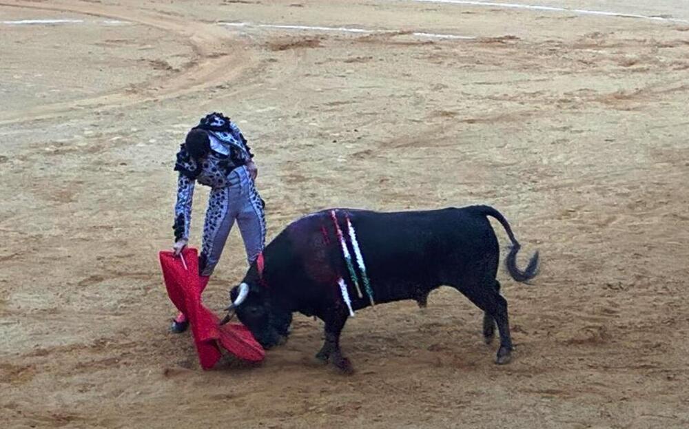 Pedro Andrés triunfa a lo grande en la segunda novillada de Pedrajas