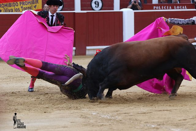 Corrida toros 08-09-25 (24-24) - Fortes.