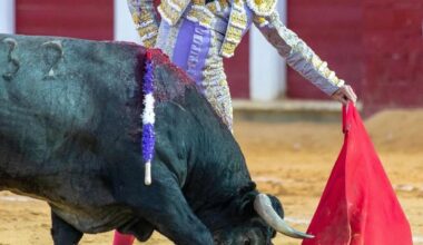 Tomás Rufo Gana el Trofeo a la Mejor Faena en la Feria de Valladolid 2023