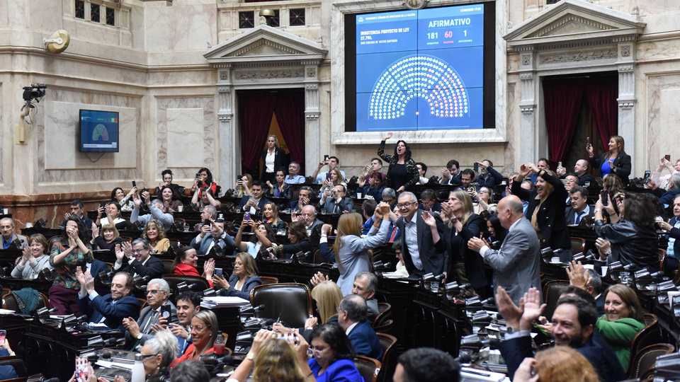 Argentina está viva: Los vetos y el plan de ajuste de Milei acumulan derrotas | Diputados insistió con la Emergencia Pediátrica y el Financiamiento Universitario con la gente en la calle