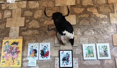 FOTOS | Exposición 'Plaza Abierta' en La Glorieta de Salamanca - SALAMANCArtv AL DÍA