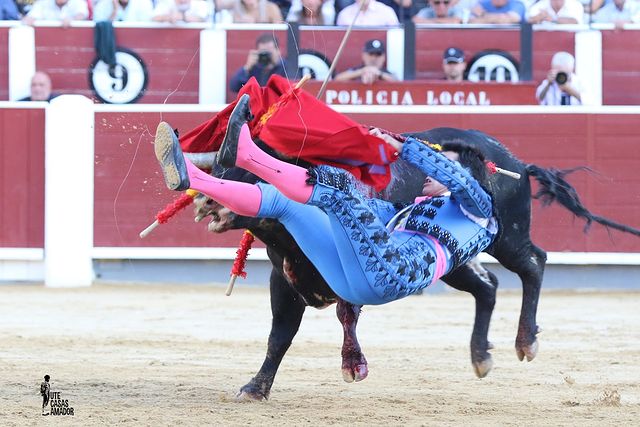 Corrida toros 10-09-25 (16) - Alejandro Quesada.