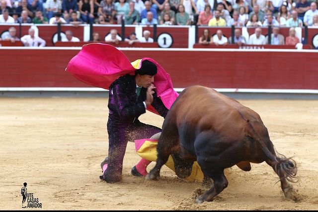 Corrida toros 08-09-25 (19-19) - Fortes.