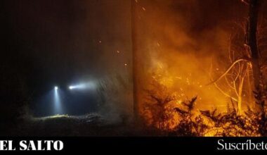 Incendios Forestales | El cóctel climático que alimentó la ola de incendios es hoy 40 veces más probable que en 1850 - El Salto