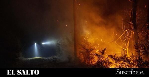 Incendios Forestales | El cóctel climático que alimentó la ola de incendios es hoy 40 veces más probable que en 1850 - El Salto