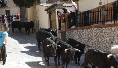 Simancas se lanza a la calle con sus fiestas patronales