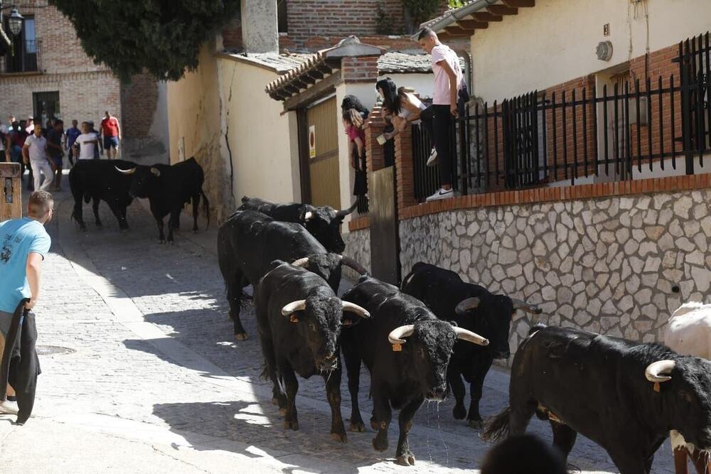 Simancas se lanza a la calle con sus fiestas patronales