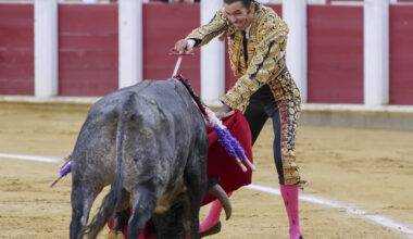 La Fundación Franz Weber denuncia gritos de 'piensa que es Sánchez' en los toros en Valladolid