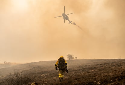 Los bomberos de las BRIF trabajan contra el fuego en el término de Filiel, en León.