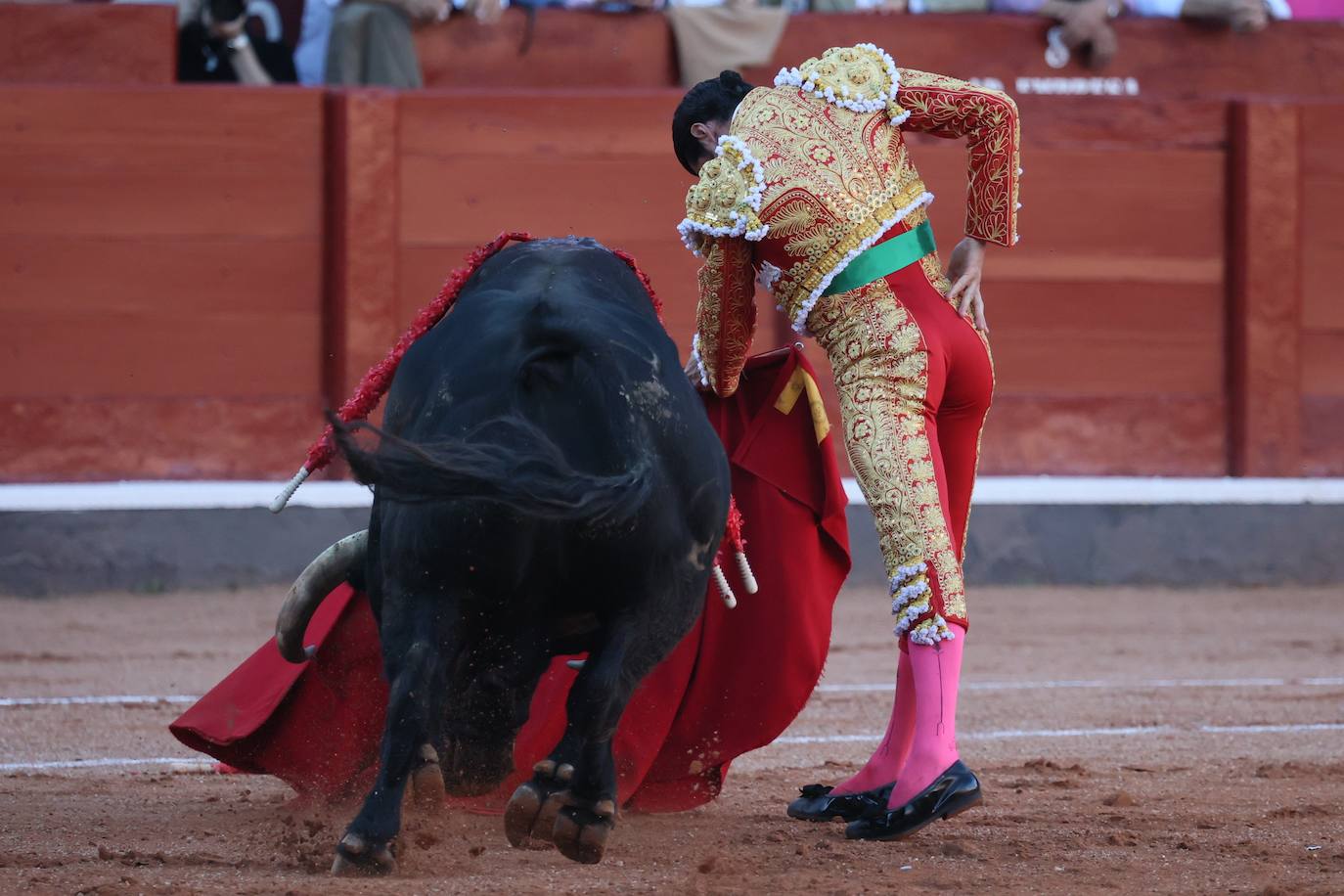 Las mejores imágenes del indulto de Buenasuerte en La Glorieta
