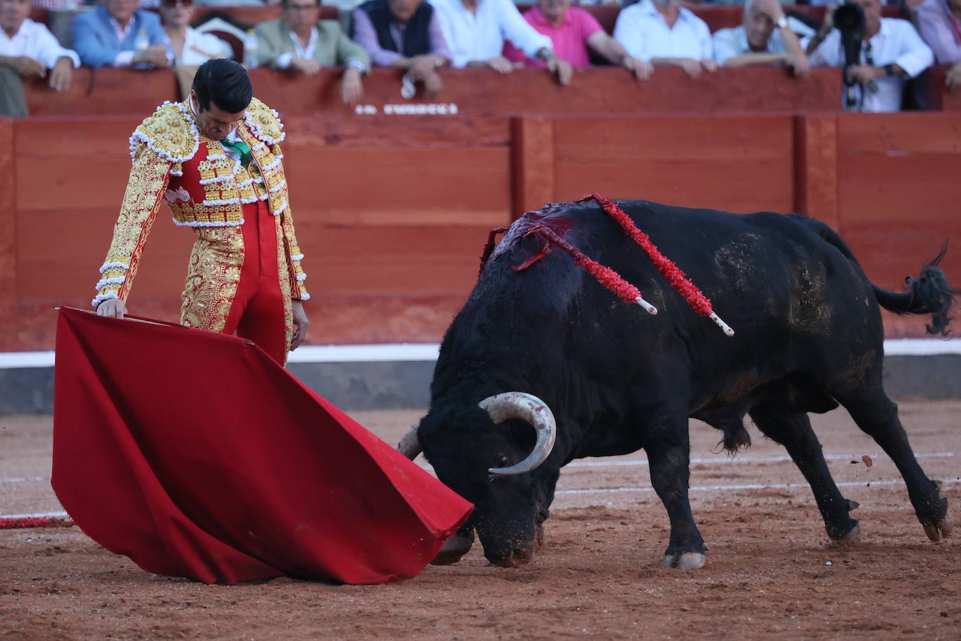 Las mejores imágenes del indulto de Buenasuerte en La Glorieta
