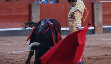 Las mejores imágenes del indulto de Buenasuerte en La Glorieta