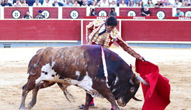La danza de los taurinos. Albacete otra vez y habrá más televisión pública – Avance Taurino