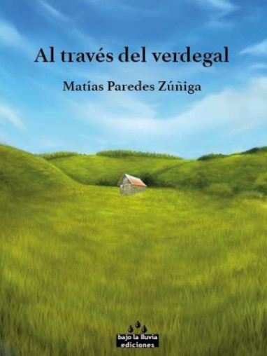 [Reseña literaria] El abecedario, ese último juguete. Sobre 'Al través del verdegal' de Matías Paredes Zúñiga. Por Felipe Ríos
