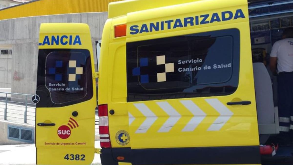 Conmoción en La Palma por la muerte inducida de una joven con discapacidad | Sociedad