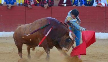 Ciudad Real: Escribano corta cuatro orejas en Piedrabuena