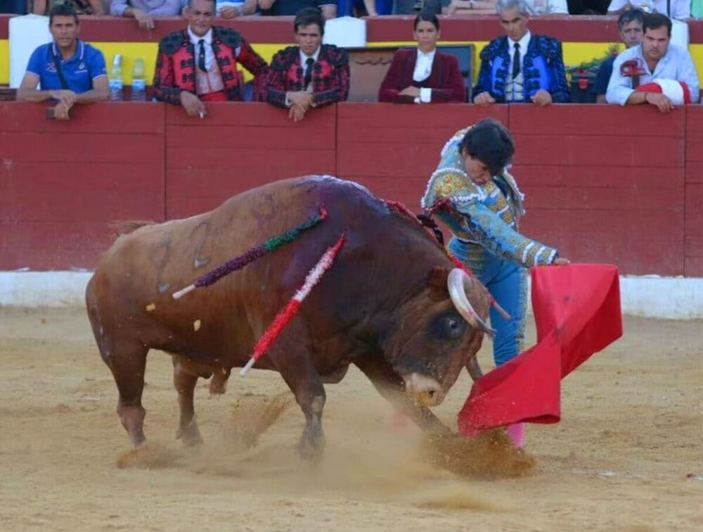 Ciudad Real: Escribano corta cuatro orejas en Piedrabuena