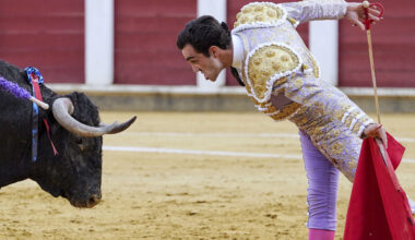 'Victorinos' al ralentí | Noticias El Día de Valladolid