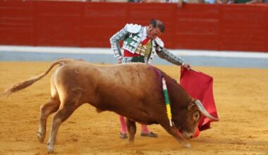 Nueve "toros", 210 minutos y dos vueltas al ruedo en la novillada del aniversario