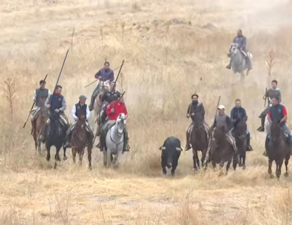 Carbonero el Mayor cierra fiestas con el mejor encierro