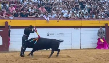 Navalón recibió una cornada en el cuello en Algemesí - La Tribuna de Albacete