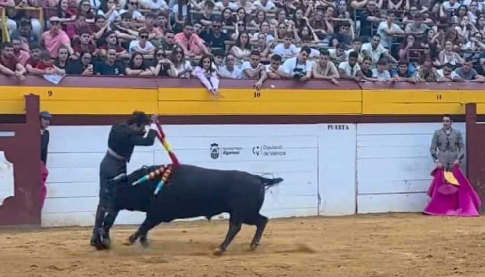 Navalón recibió una cornada en el cuello en Algemesí - La Tribuna de Albacete