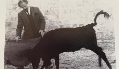 A dos años de su partida , ese recuerdo taurino del maestro Botero que quiso ser torero y solo llegó a gran pintor universal