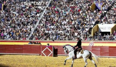 El reclamo de los caballos en Palencia