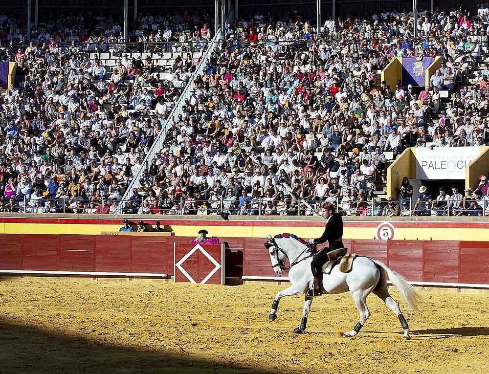 El reclamo de los caballos en Palencia