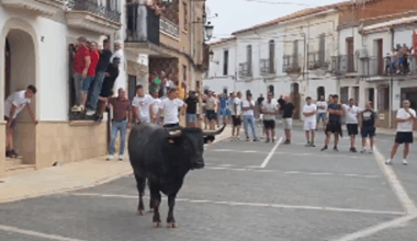 Herido grave tras ser corneado por un toro en las fiestas de Calzadilla