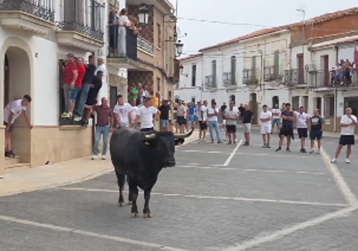 Herido grave tras ser corneado por un toro en las fiestas de Calzadilla