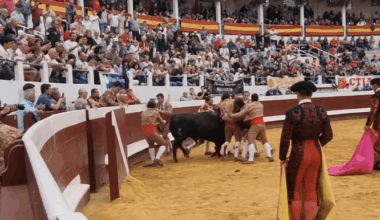 Luis Rouxinol padre e hijo destacan en el inicio de feria en Dax