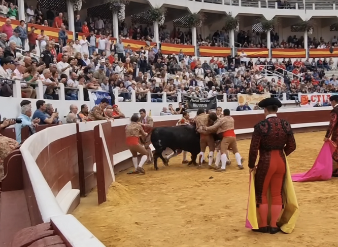 Luis Rouxinol padre e hijo destacan en el inicio de feria en Dax