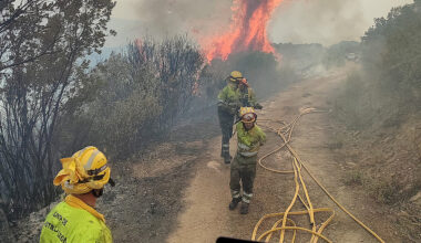 Dos bomberos forestales de Oña piden más medios tras colaborar en la extinción de fuegos en León
