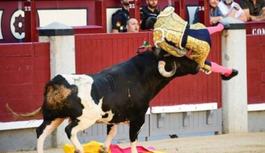 El dolor de un torero de Montcada