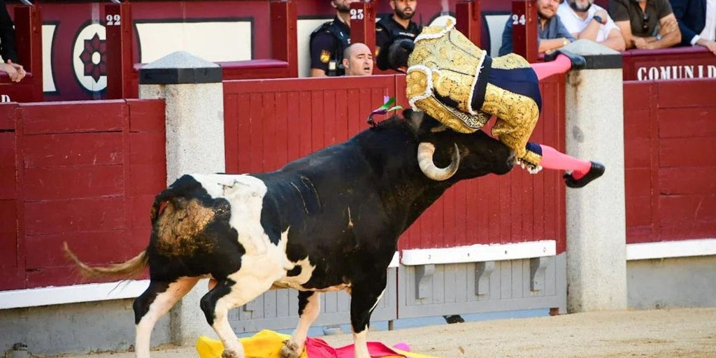 El dolor de un torero de Montcada