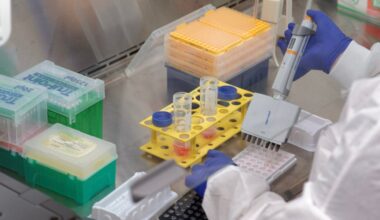 Descubren por qué la gripe es más mortal para las personas mayores