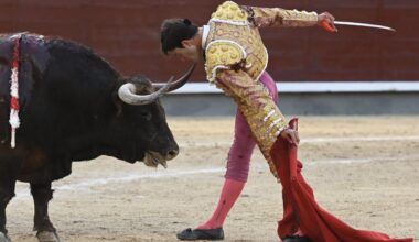 Foto: Javier Arroyo