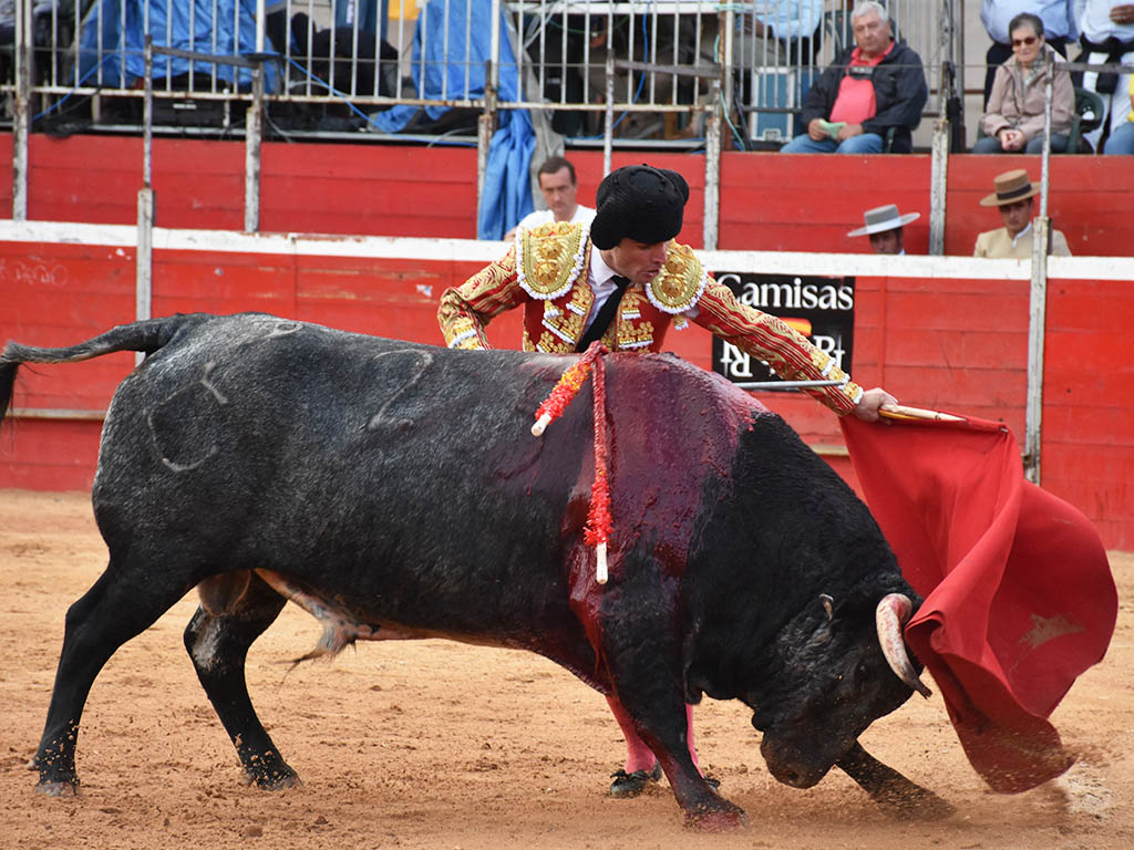 Damián Castaño, con un toro de Raso de Portillo en Riaza. / A.M.