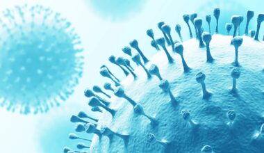 La gripe altera la microbiota pulmonar y potencia la aparición de patógenos oportunistas