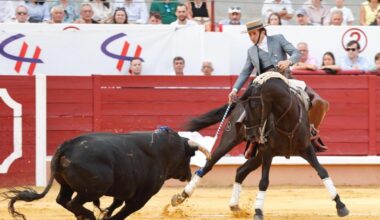 À Punt to Broadcast Double Bullfighting Session This Saturday, 13th September