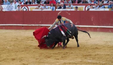 La segunda corrida de Cuéllar tampoco abre la puerta grande