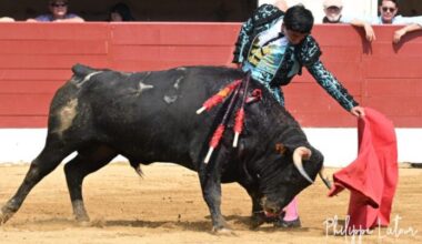 El tachirense Fernando Vanegas corta dos orejas y rabo en España