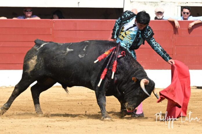 El tachirense Fernando Vanegas corta dos orejas y rabo en España