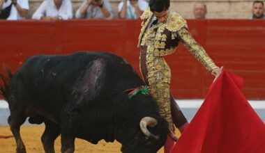 un toreo caro de espada roma en Villaseca de la Sagra