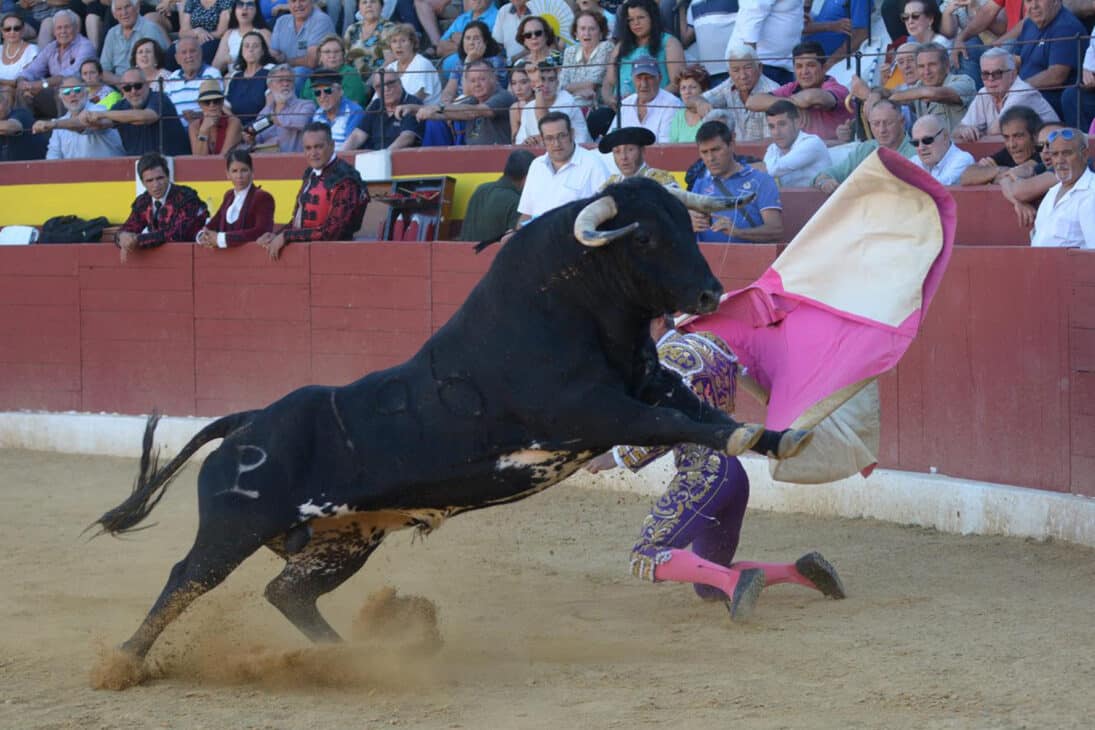 Espectacular el de Alcurrucén en la larga cambiada de Manuel Escribano  V Moya
