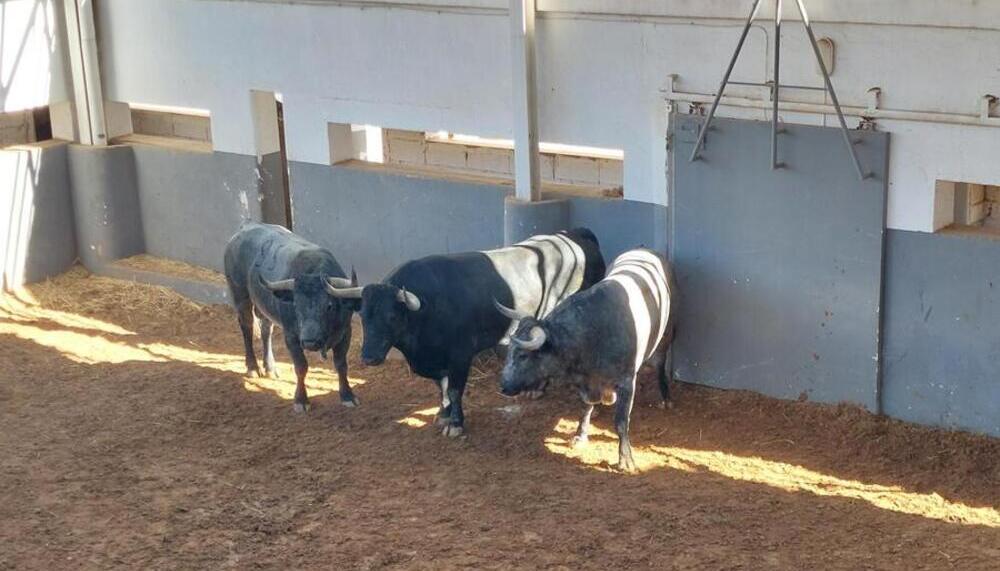 Los otros tres 'albaserradas'.