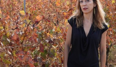 Dos fabulosos libros para conectarnos con la Tierra y con la tierra